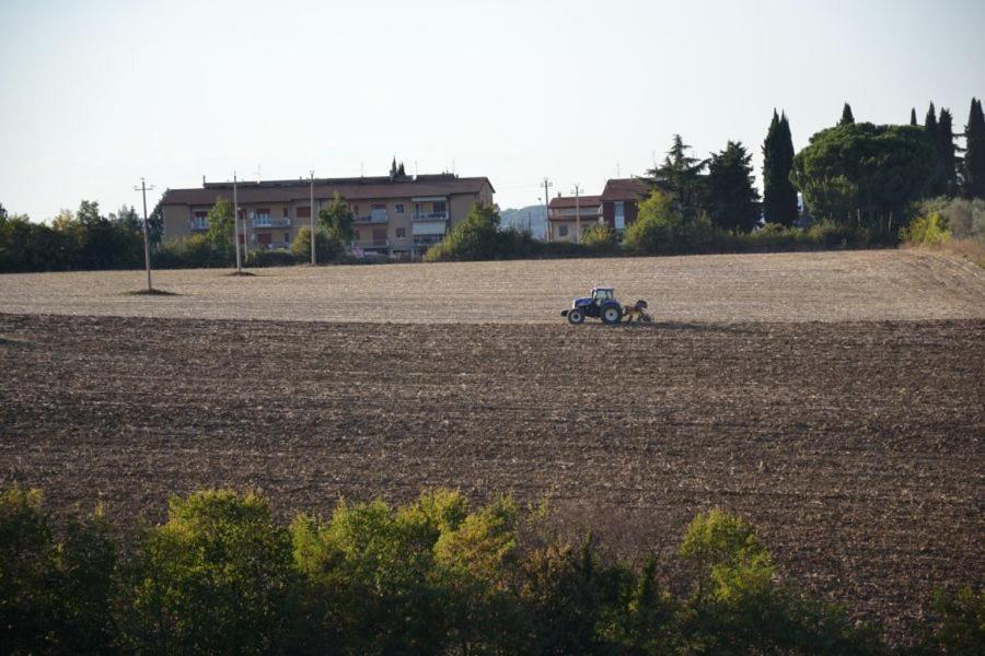 Perugia Farmhouse Villa Exteriör bild